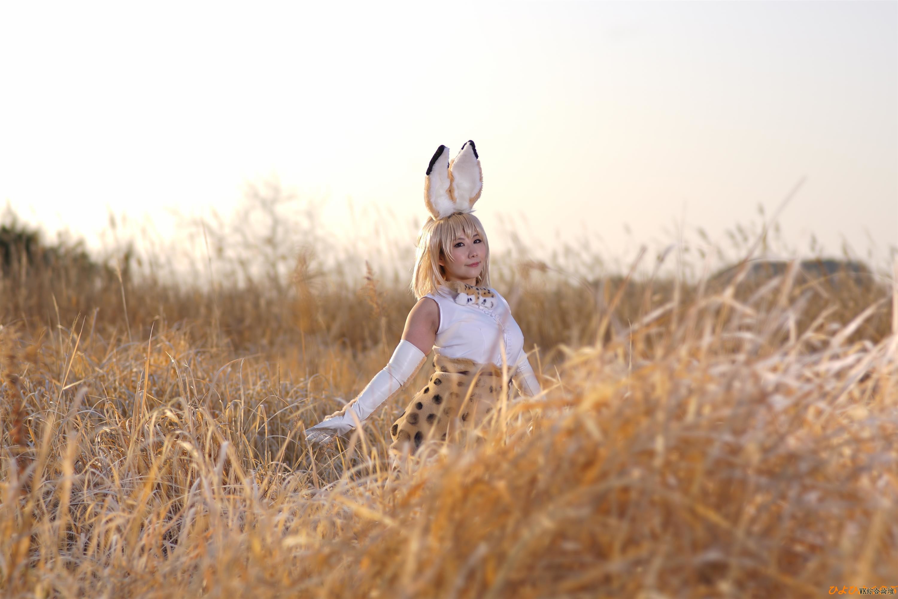 serval022.jpg