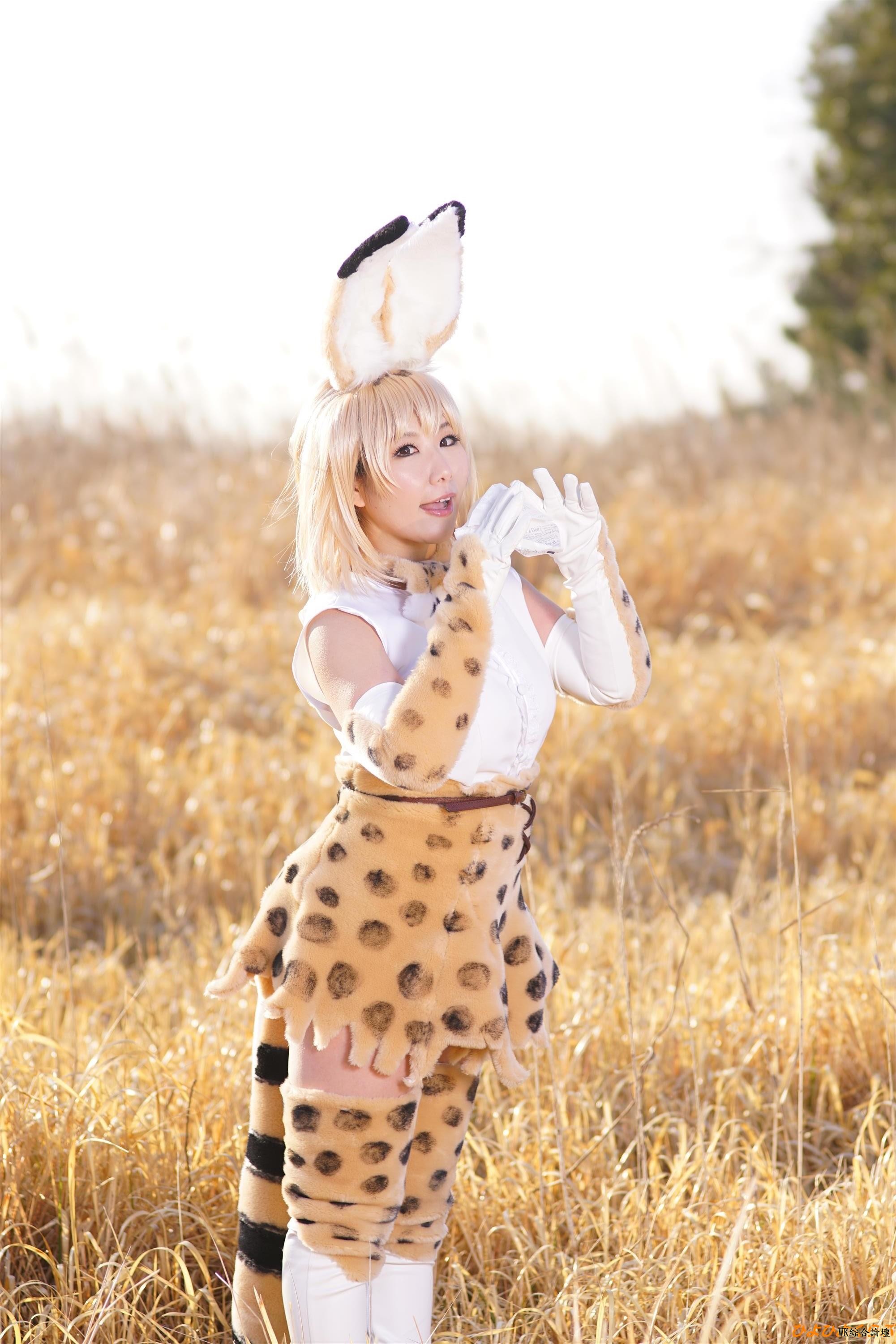 serval080.jpg