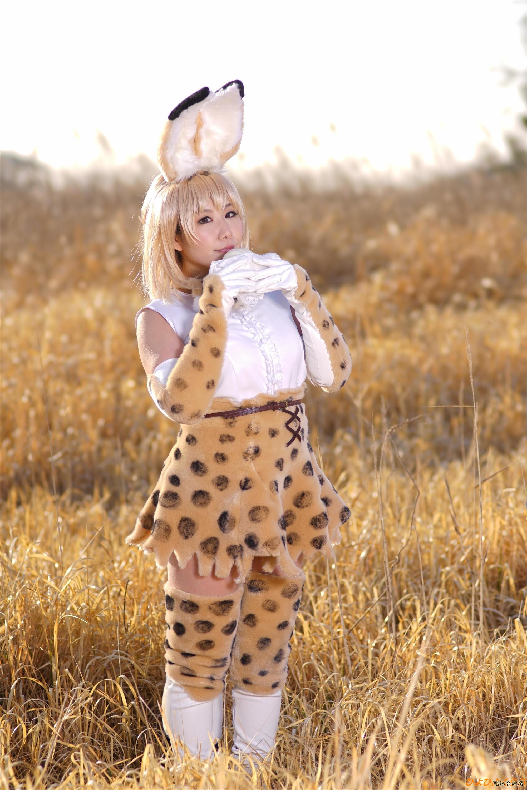 serval079.jpg