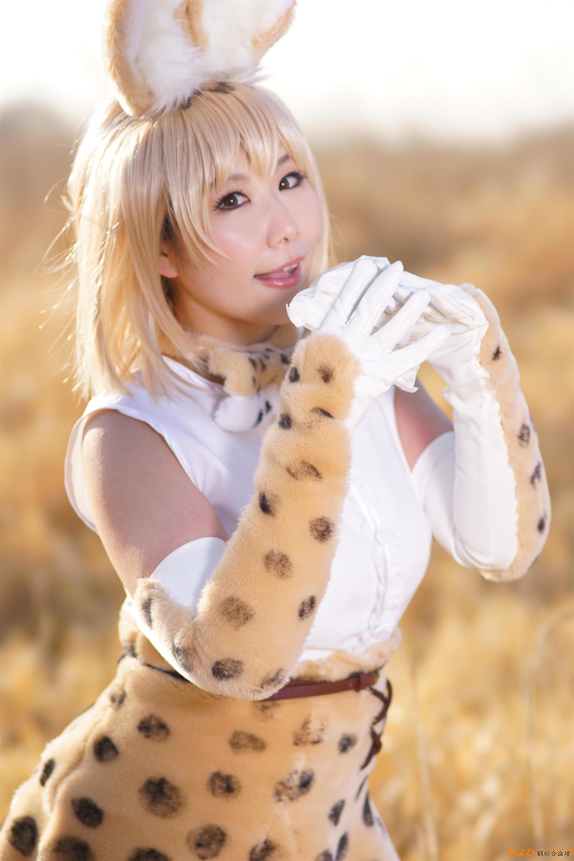 serval084.jpg