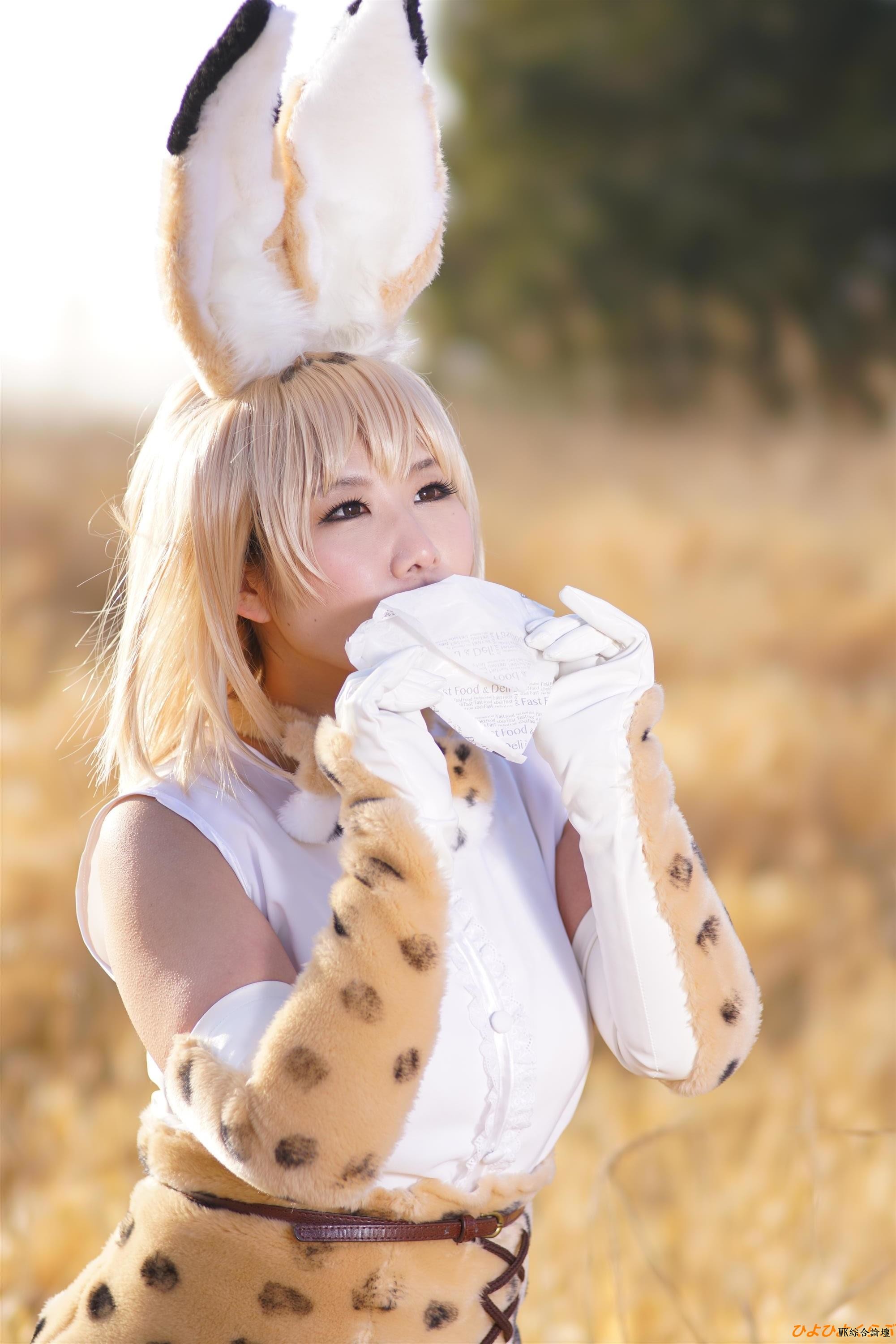 serval088.jpg