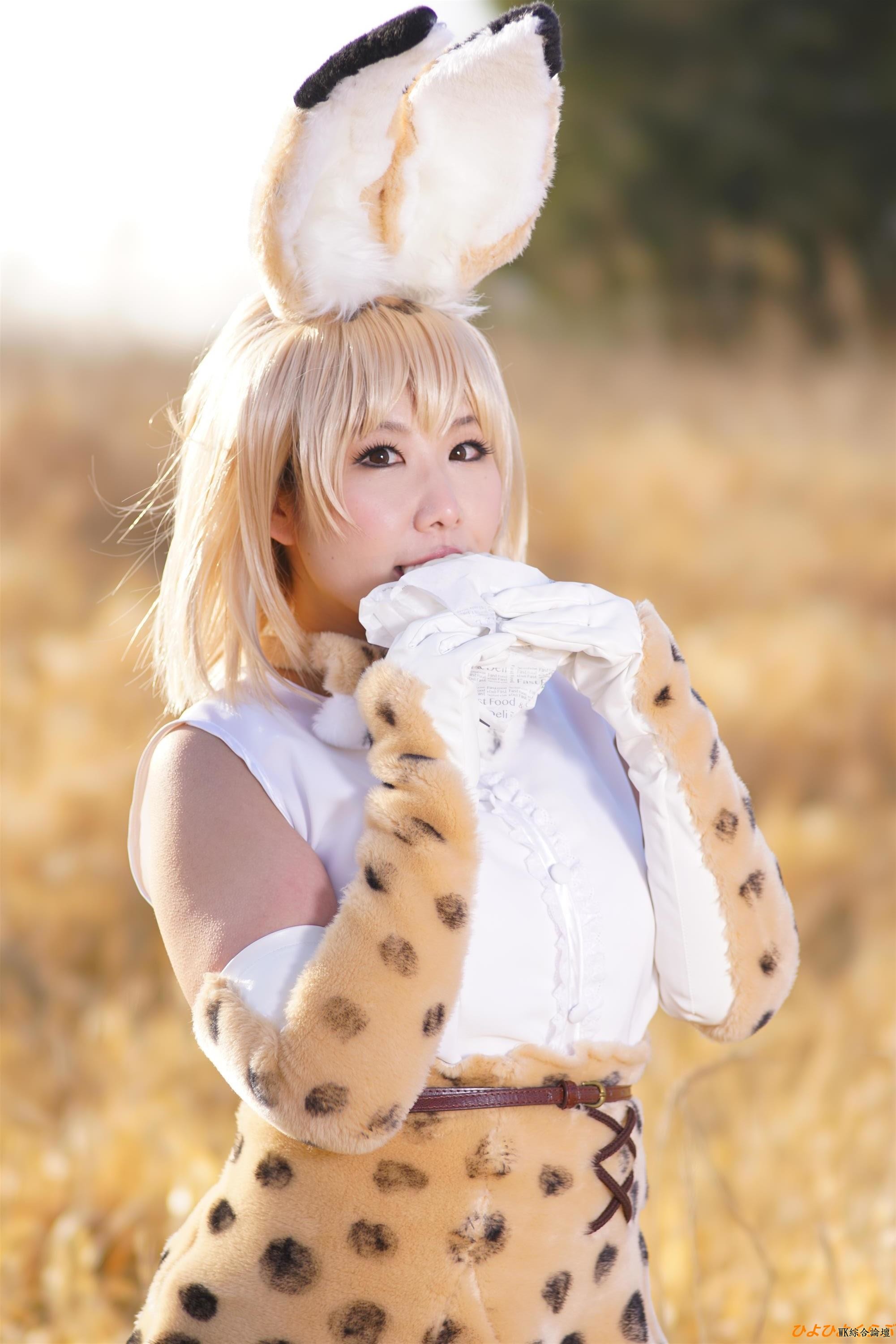 serval090.jpg