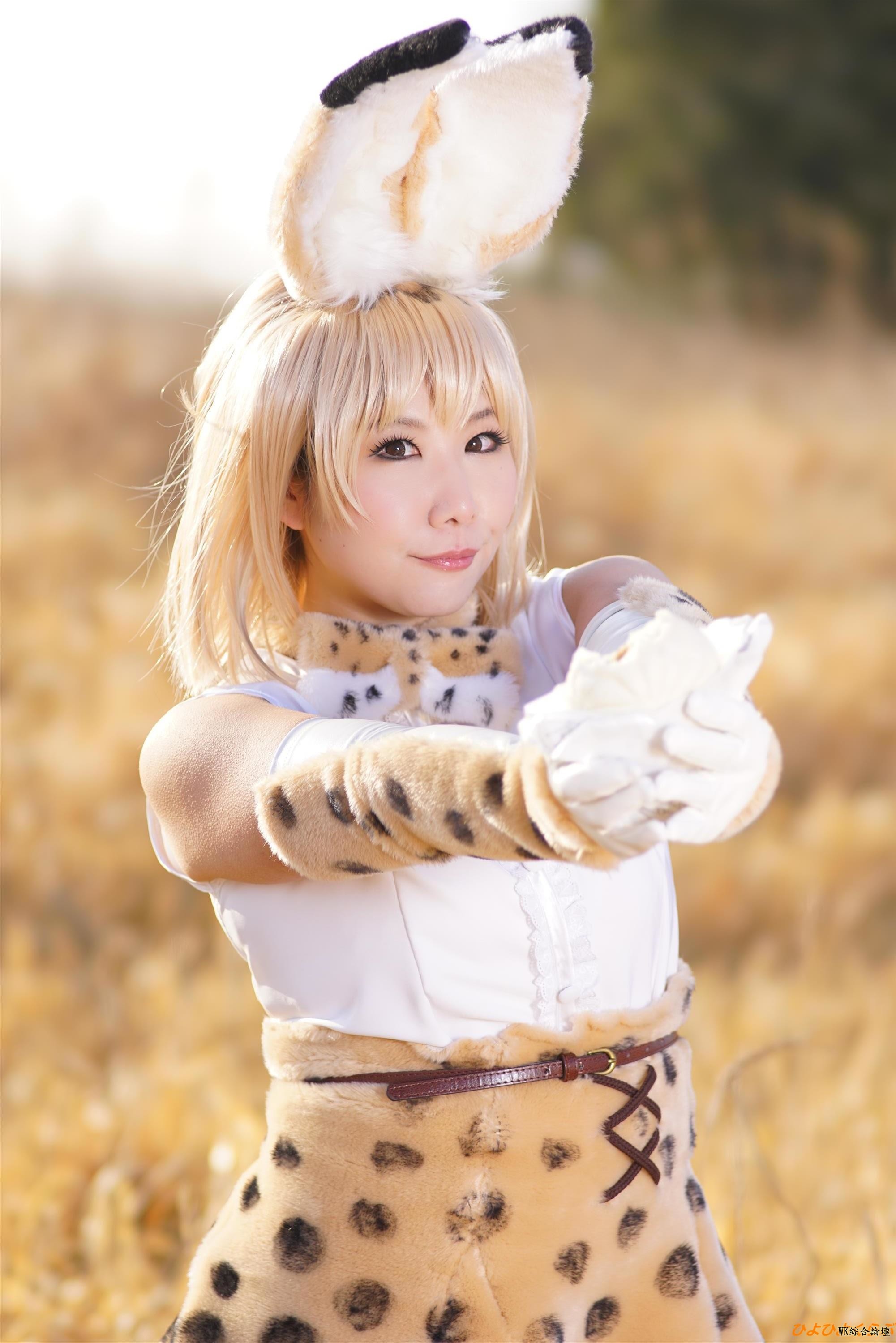 serval091.jpg