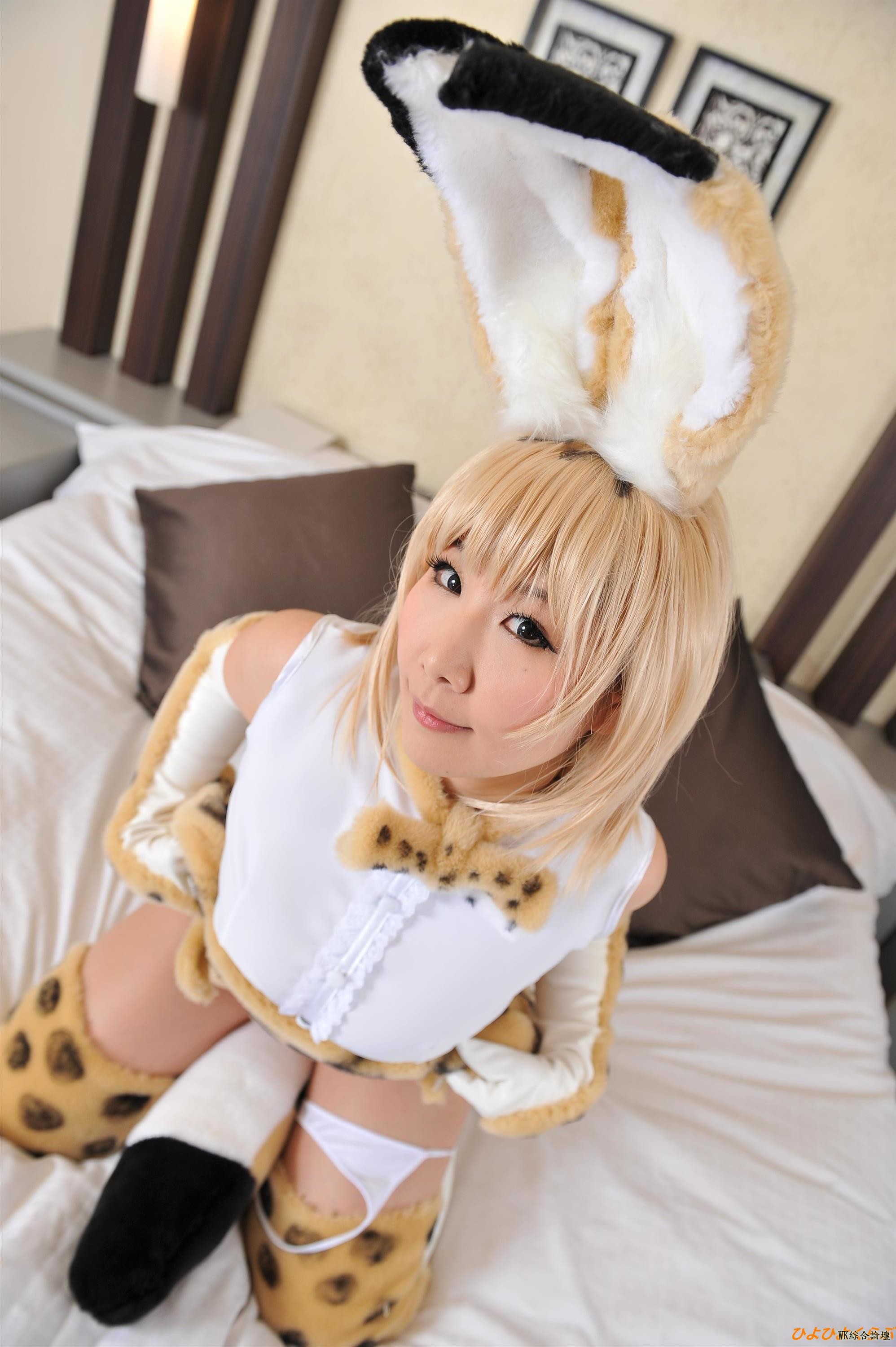 serval223.jpg