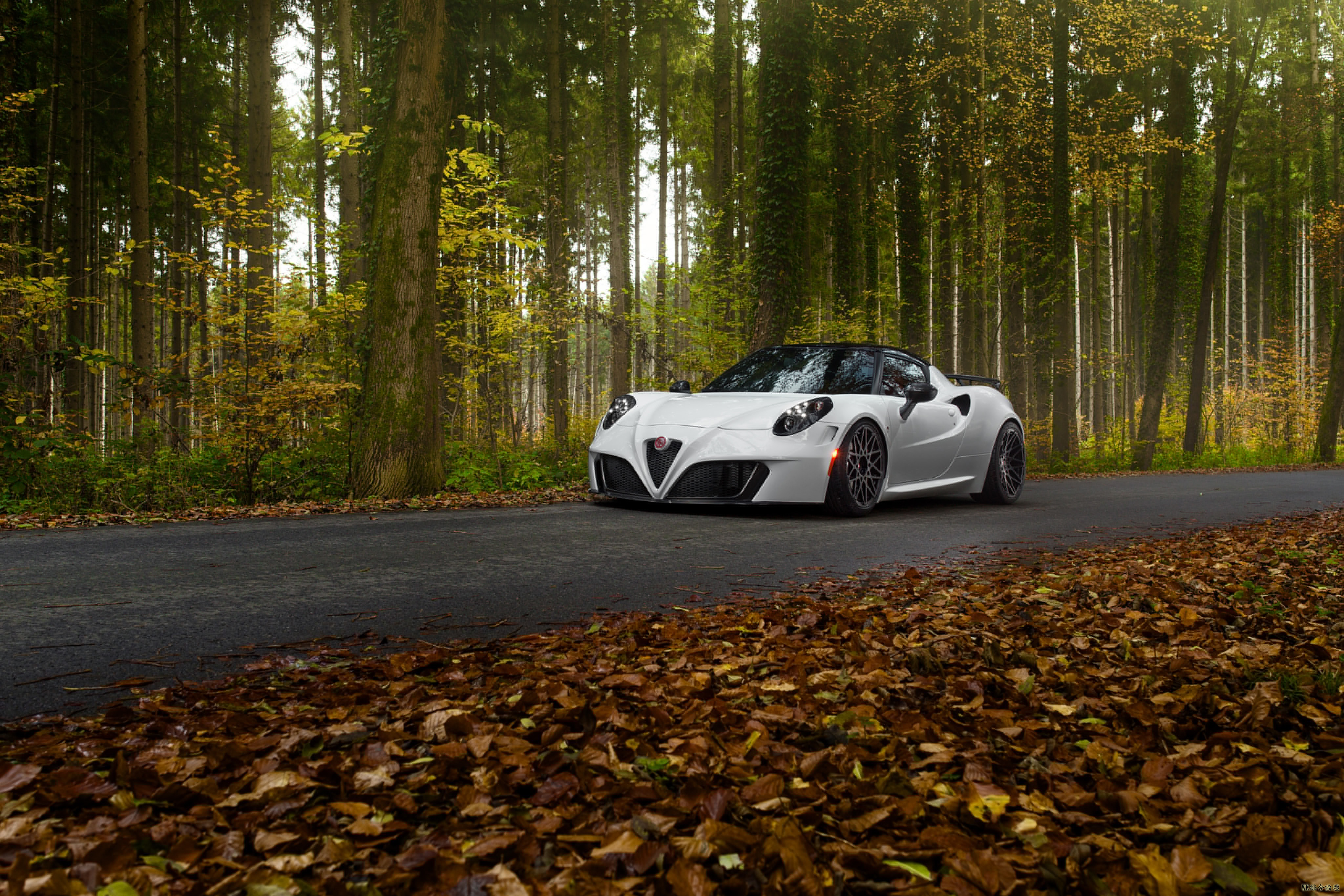 pogea-racing-alfa-romeo-4c-4420.jpg