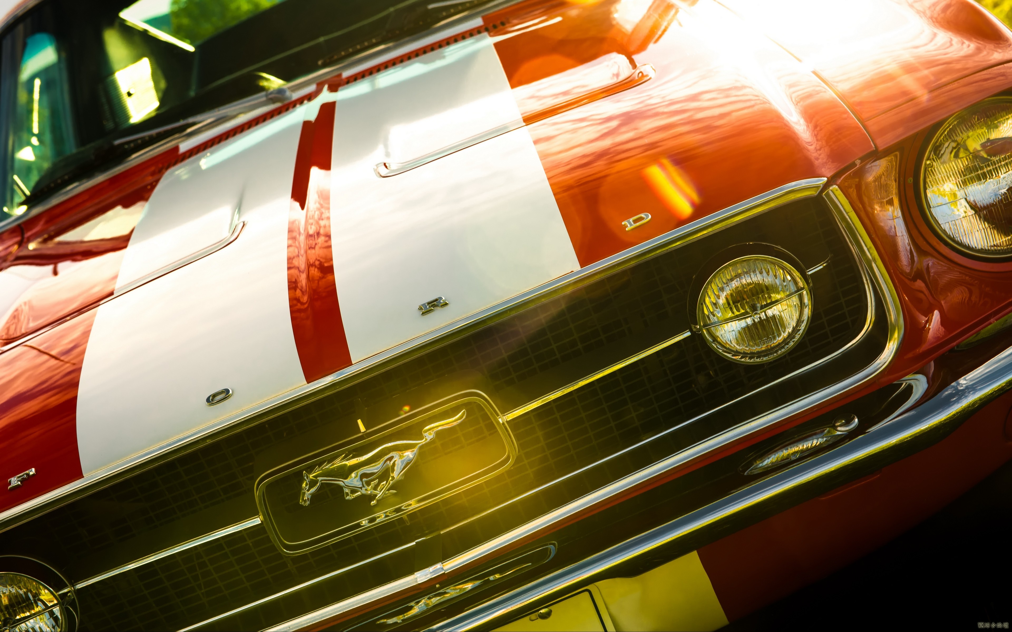 ford_mustang_fastback_1967_bumper_104533_3840x2400.jpg