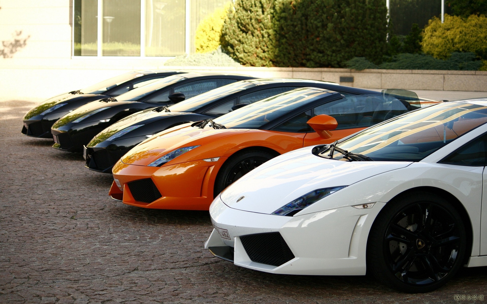 gallardo_trees_black_white_lamborghini_building_orange_90577_1920x1200.jpg