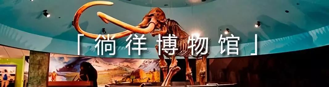 同业福利|快来填写问卷成为洛杉矶旅游局的锦鲤!-34.jpg