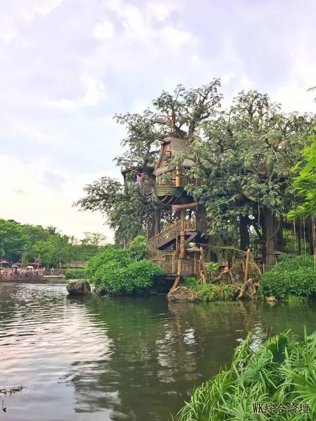 第一次去香港旅游?史上最全香港攻略,从此爱上香港-9.jpg