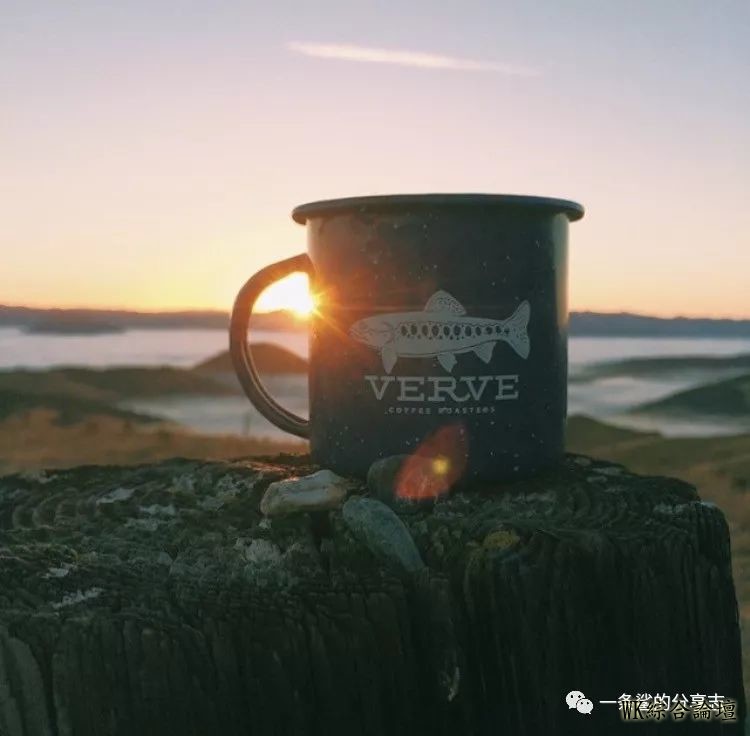 【洛杉矶咖啡馆】Verve Coffee Roasters(鲨鱼旅行分享)-40.jpg